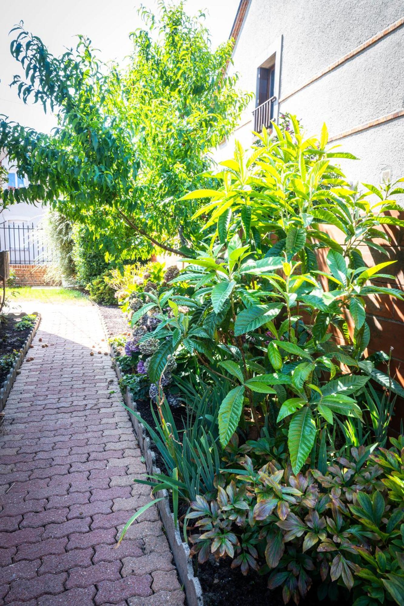 "Le 35" Maison Renovee Avec Jardin Proche Centre Lamotte-Beuvron Kültér fotó
